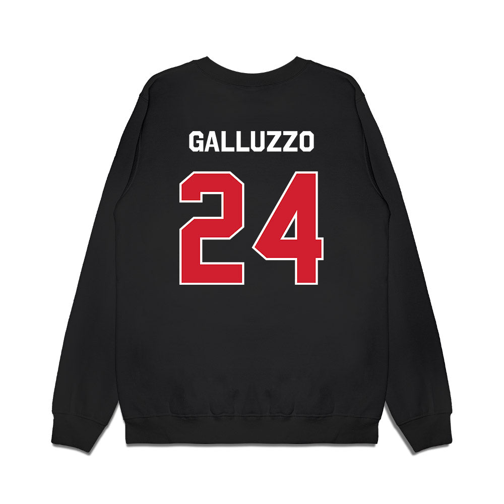 Boston College - NCAA Men's Soccer : Devon Galluzzo - Graphic Premium Crewneck Sweatshirt-1