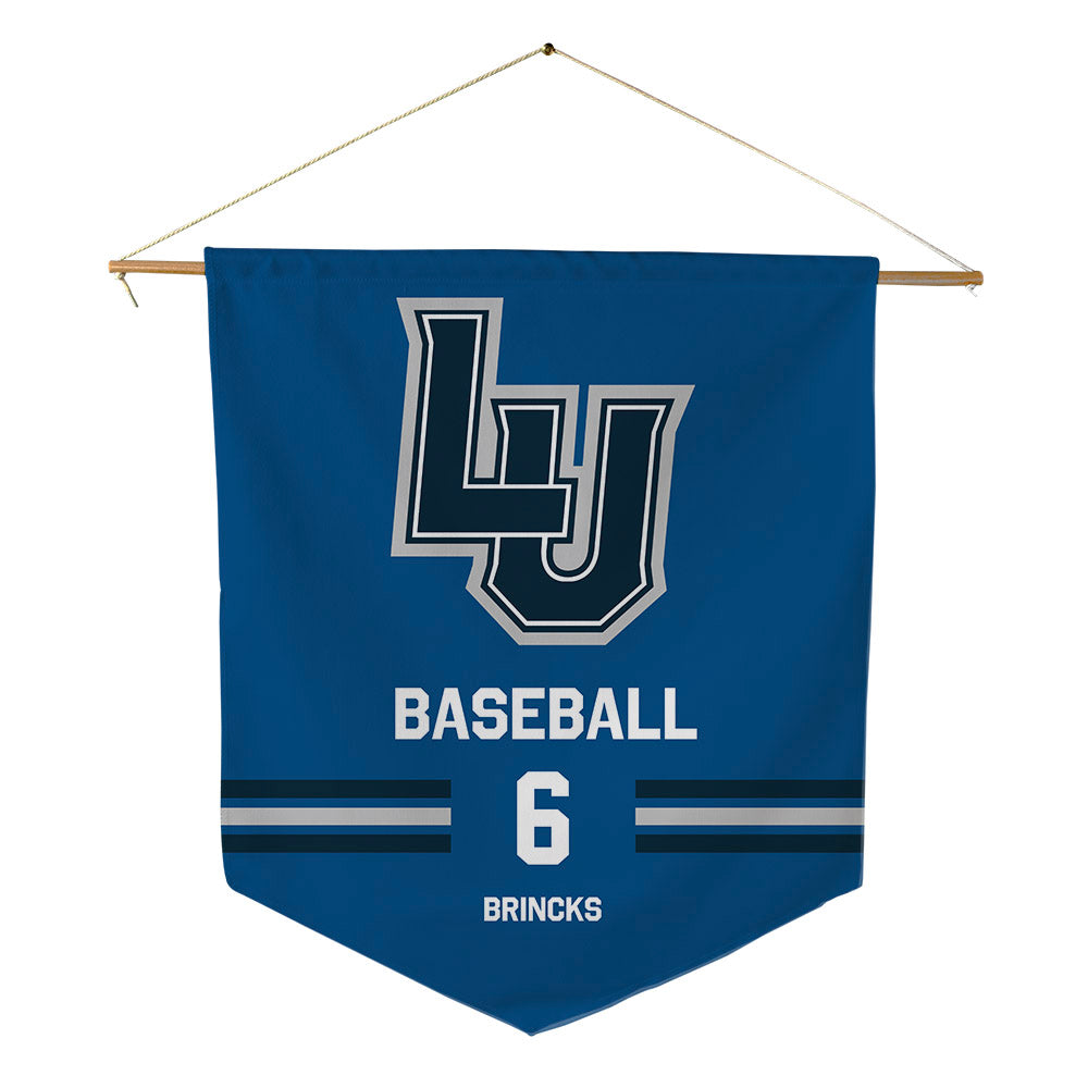 Lawrence - NCAA Baseball : Myles Brincks - Pennant - 18" x 21"-0