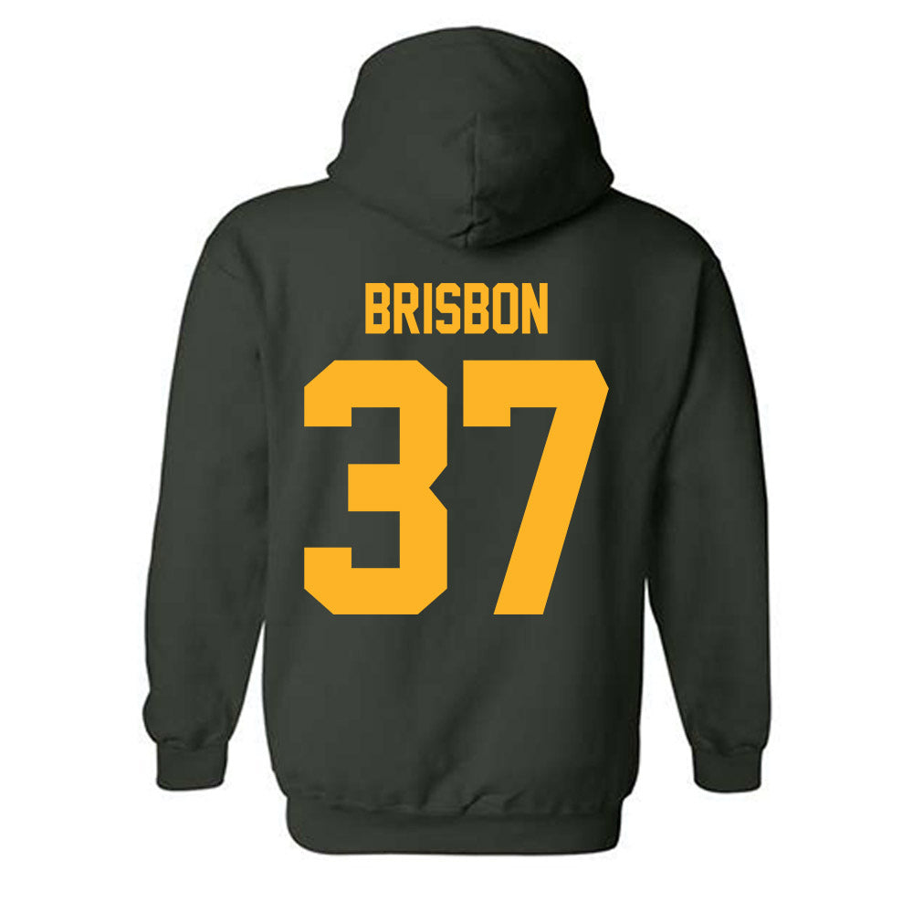 Baylor - NCAA Football : Demetrius Brisbon - Classic Shersey Hooded Sweatshirt-1