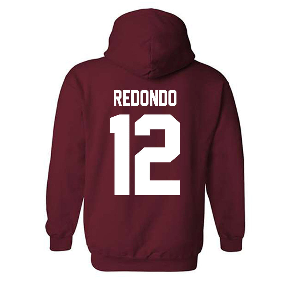NMSU - NCAA Softball : Violet Redondo - Classic Shersey Hooded Sweatshirt-1