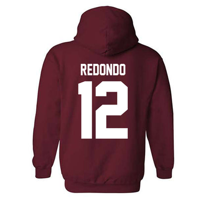 NMSU - NCAA Softball : Violet Redondo - Classic Shersey Hooded Sweatshirt-1