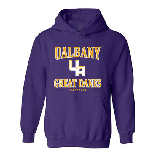 Albany - NCAA Baseball : Jaden Schmidt - Classic Shersey Hooded Sweatshirt-0