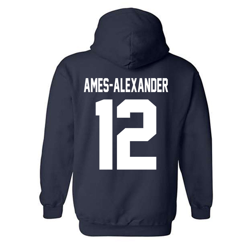 Howard - NCAA Softball : Taylor Ames-Alexander - Classic Shersey Hooded Sweatshirt-1