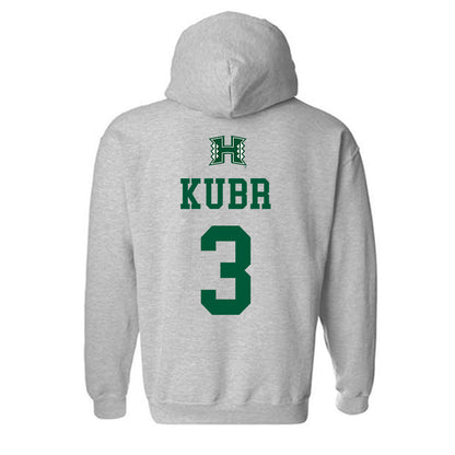 Hawaii - NCAA Men's Volleyball : Vladimir Kubr - Classic Shersey Hooded Sweatshirt-1