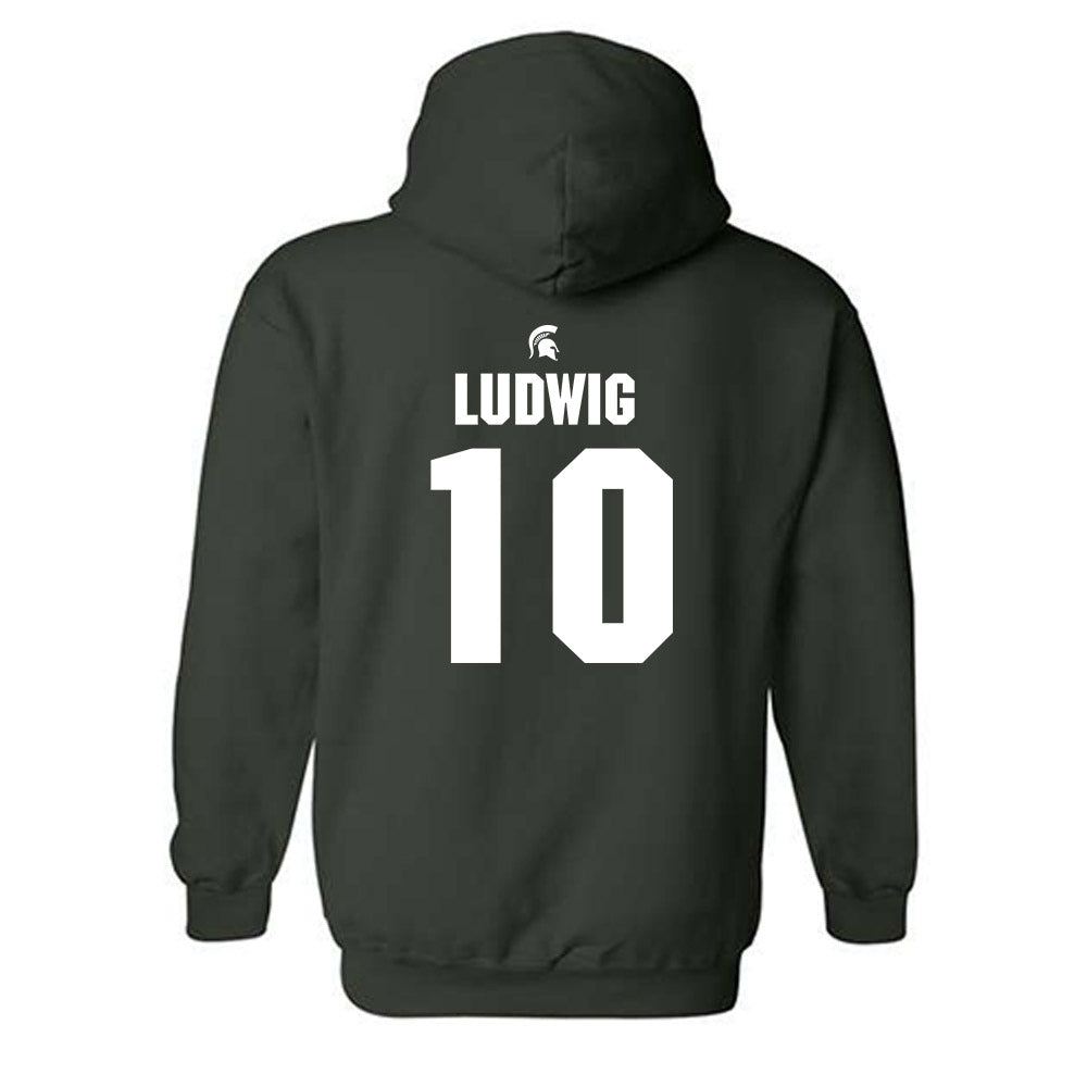 Michigan State - NCAA Men's Soccer : Richie Ludwig - Generic Shersey Hooded Sweatshirt-1