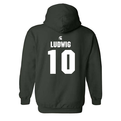 Michigan State - NCAA Men's Soccer : Richie Ludwig - Generic Shersey Hooded Sweatshirt-1