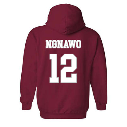 Troy - NCAA Women's Basketball : Fortuna Ngnawo - Shersey Hooded Sweatshirt-1