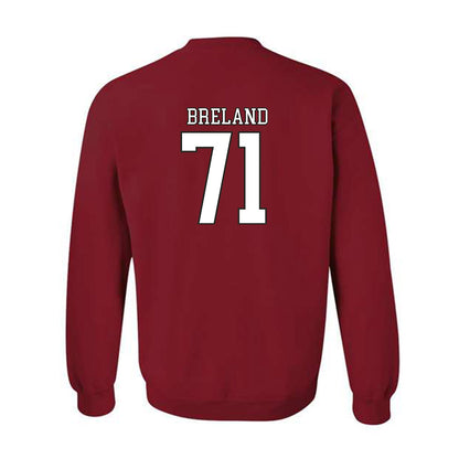 Troy - NCAA Football : Antwone Breland - Generic Shersey Crewneck Sweatshirt-1