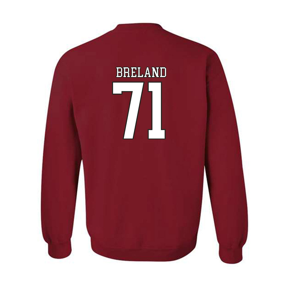 Troy - NCAA Football : Antwone Breland - Generic Shersey Crewneck Sweatshirt-1