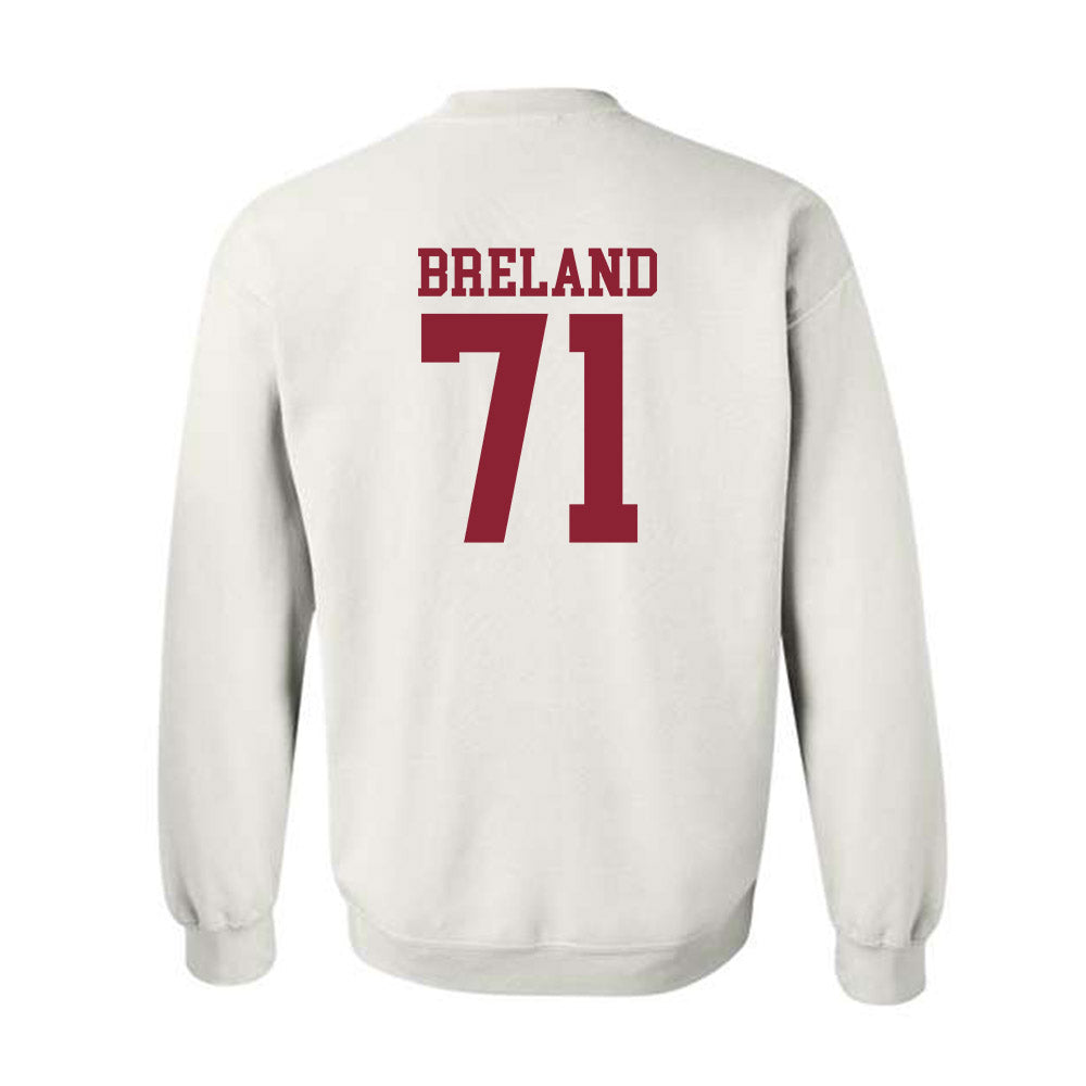 Troy - NCAA Football : Antwone Breland - Generic Shersey Crewneck Sweatshirt-1