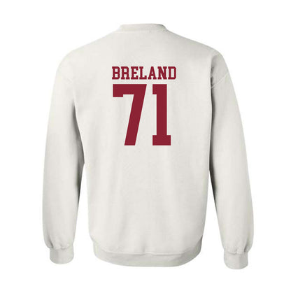 Troy - NCAA Football : Antwone Breland - Generic Shersey Crewneck Sweatshirt-1