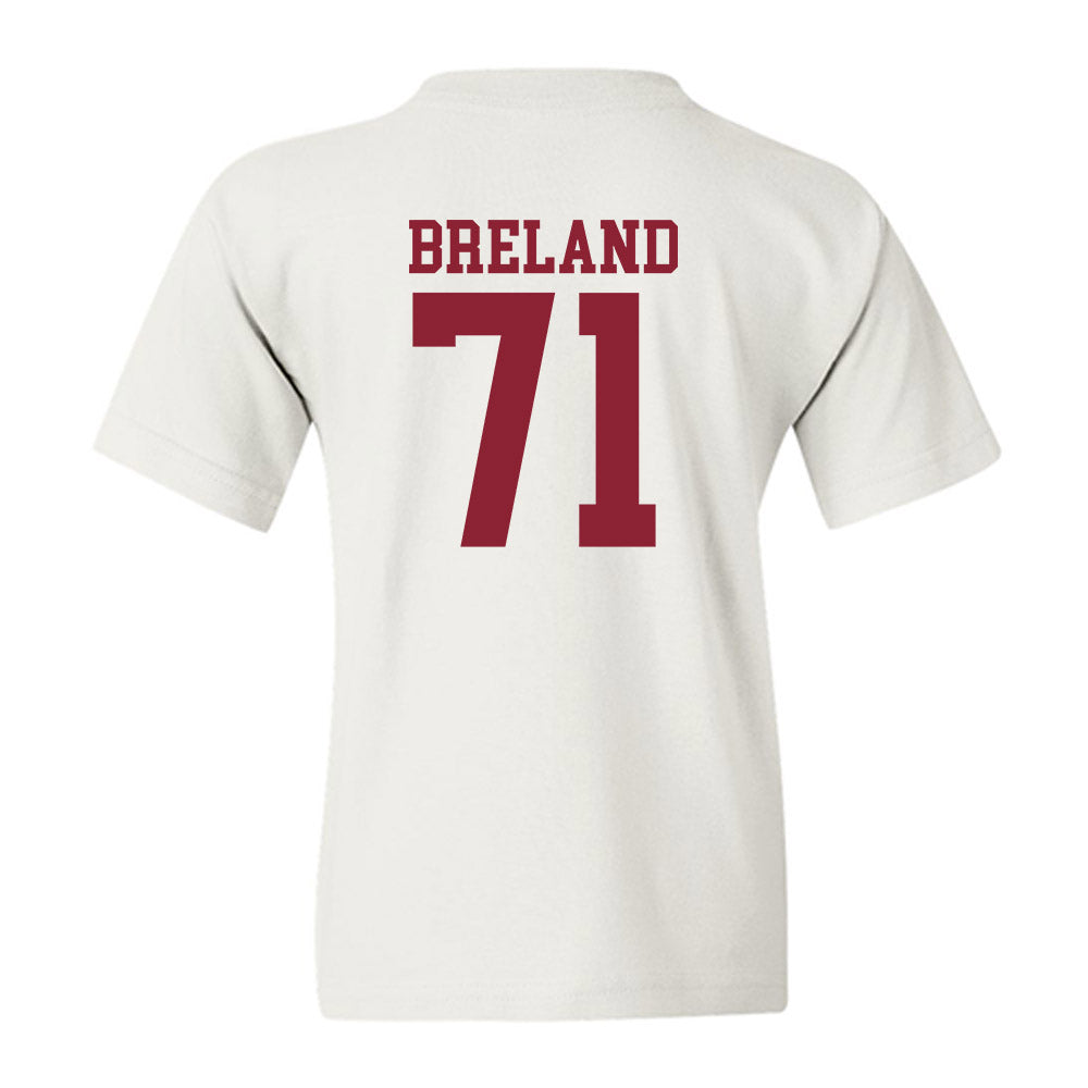 Troy - NCAA Football : Antwone Breland - Generic Shersey Youth T-Shirt-1