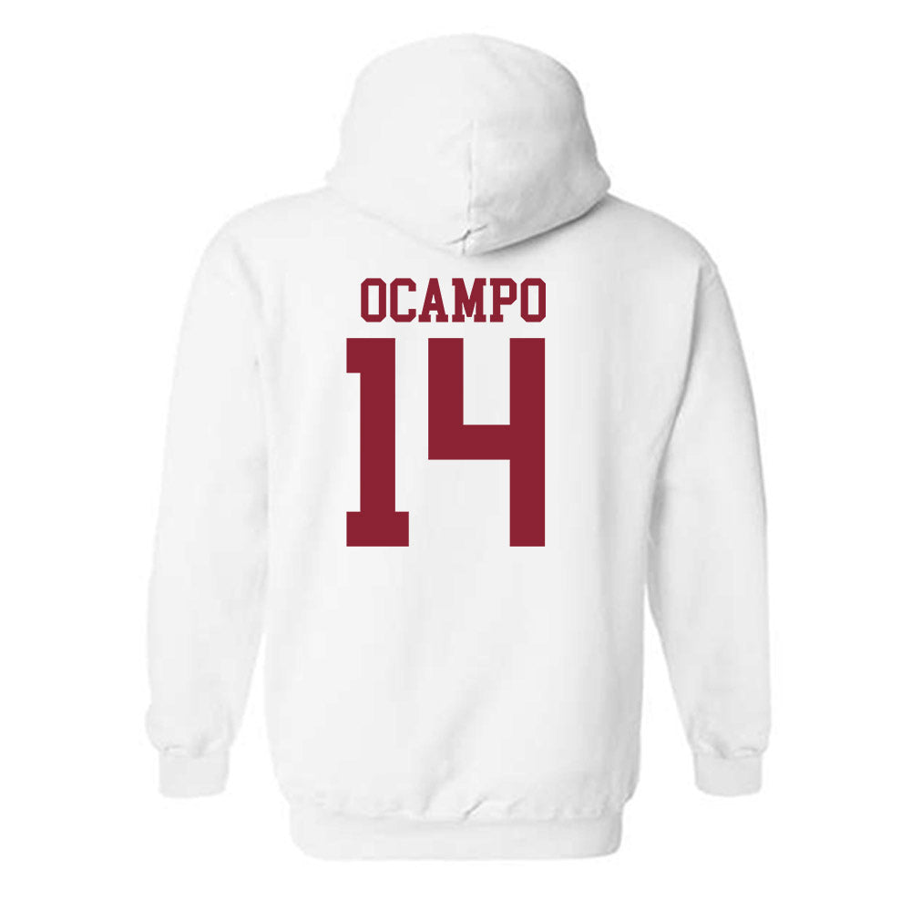 Troy - NCAA Women's Volleyball : Sophie Ocampo - Generic Shersey Hooded Sweatshirt-1