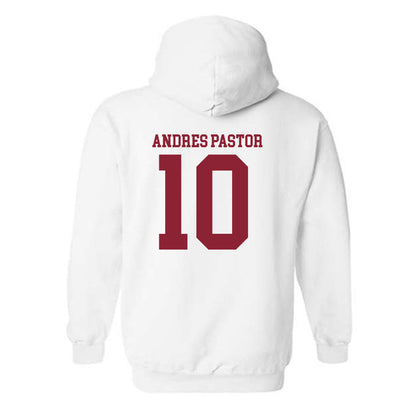 Troy - NCAA Men's Tennis : Yeray Andres Pastor - Generic Shersey Hooded Sweatshirt-1