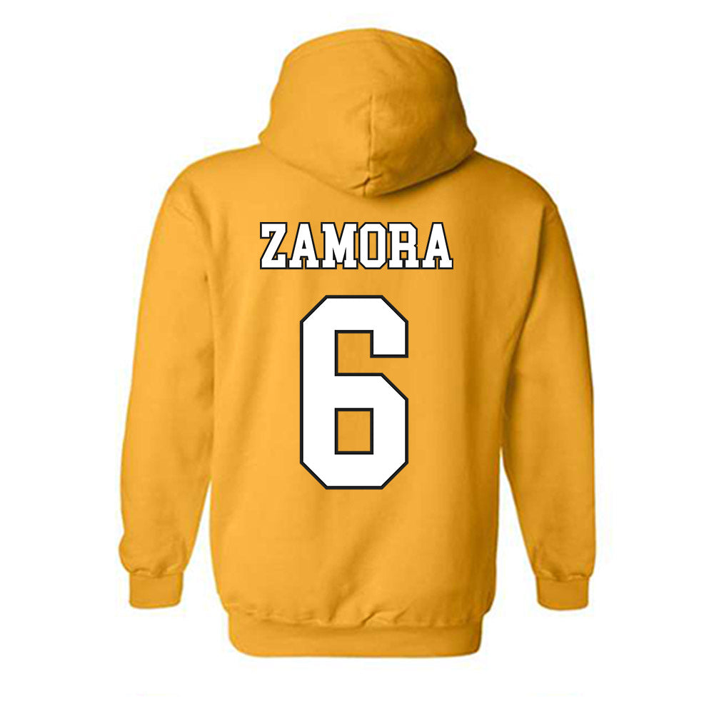 App State - NCAA Baseball : Joseph Zamora - Generic Shersey Hooded Sweatshirt-1