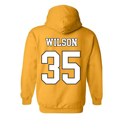 App State - NCAA Baseball : Ethan Wilson - Generic Shersey Hooded Sweatshirt-1