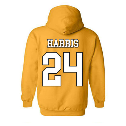 App State - NCAA Baseball : Everette Harris - Generic Shersey Hooded Sweatshirt-1