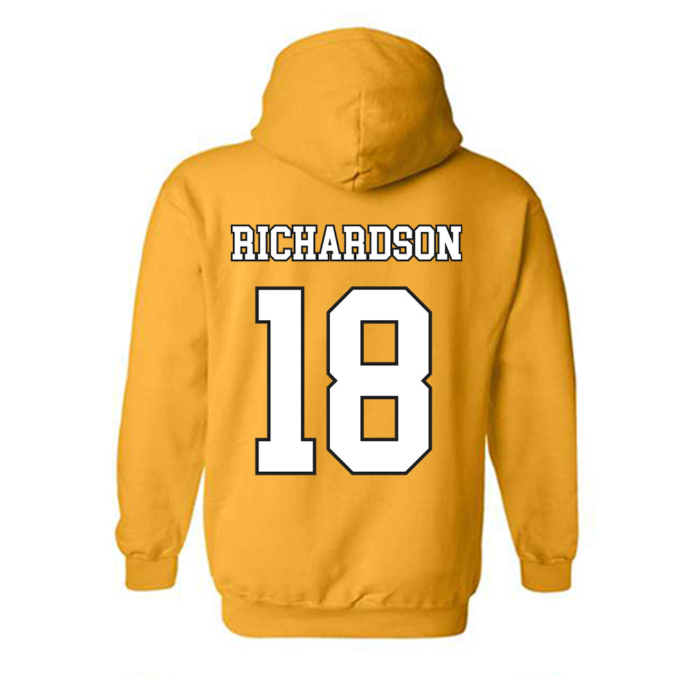 App State - NCAA Women's Volleyball : Raegan Richardson - Generic Shersey Hooded Sweatshirt-1