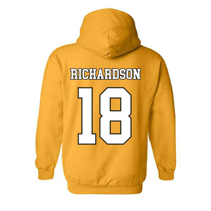 App State - NCAA Women's Volleyball : Raegan Richardson - Generic Shersey Hooded Sweatshirt-1