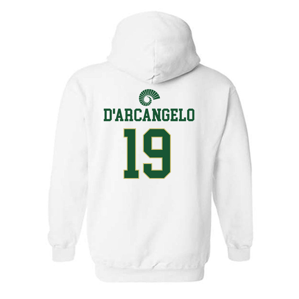 Colorado State - NCAA Women's Soccer : Kiarra D'Arcangelo - Classic Shersey Hooded Sweatshirt-1