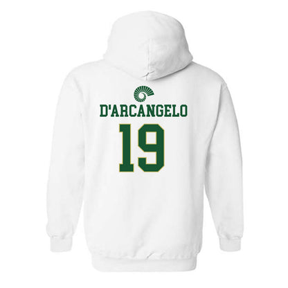 Colorado State - NCAA Women's Soccer : Kiarra D'Arcangelo - Classic Shersey Hooded Sweatshirt-1