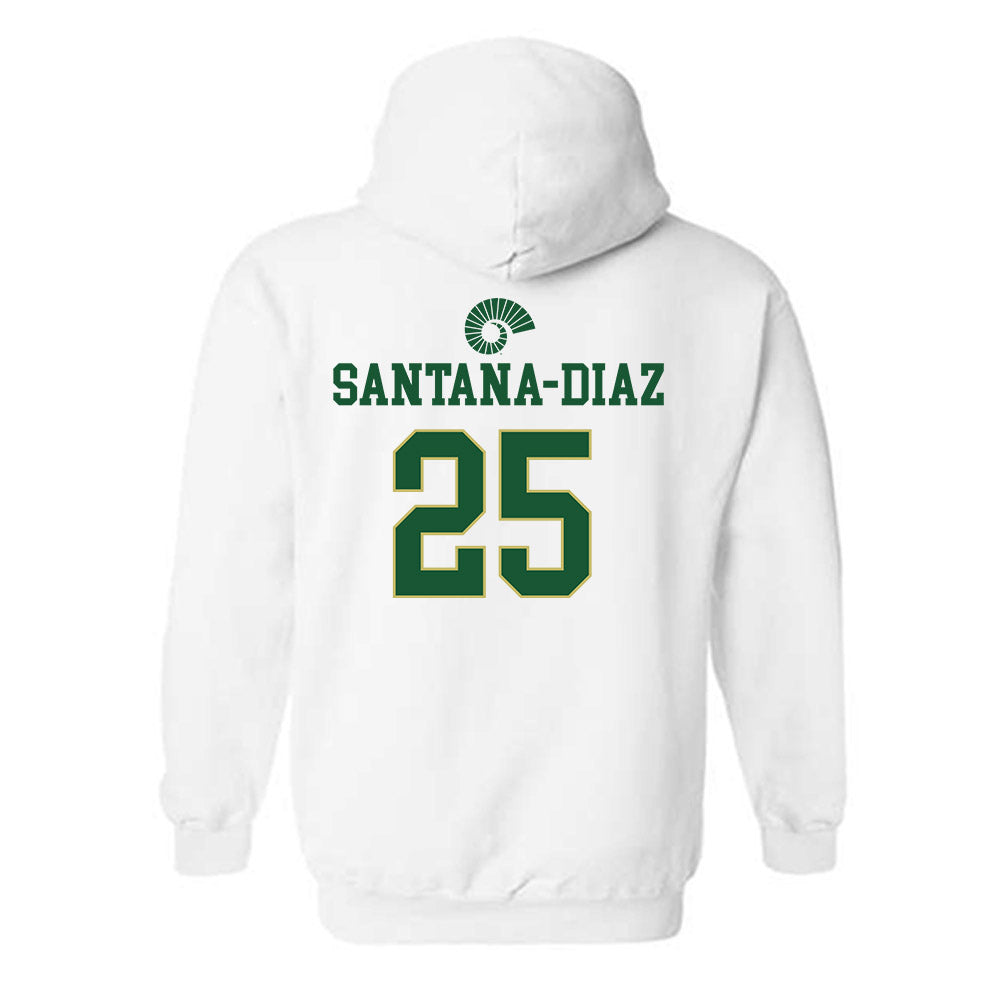 Colorado State - NCAA Football : Jermaine Santana-Diaz - Hooded Sweatshirt-1