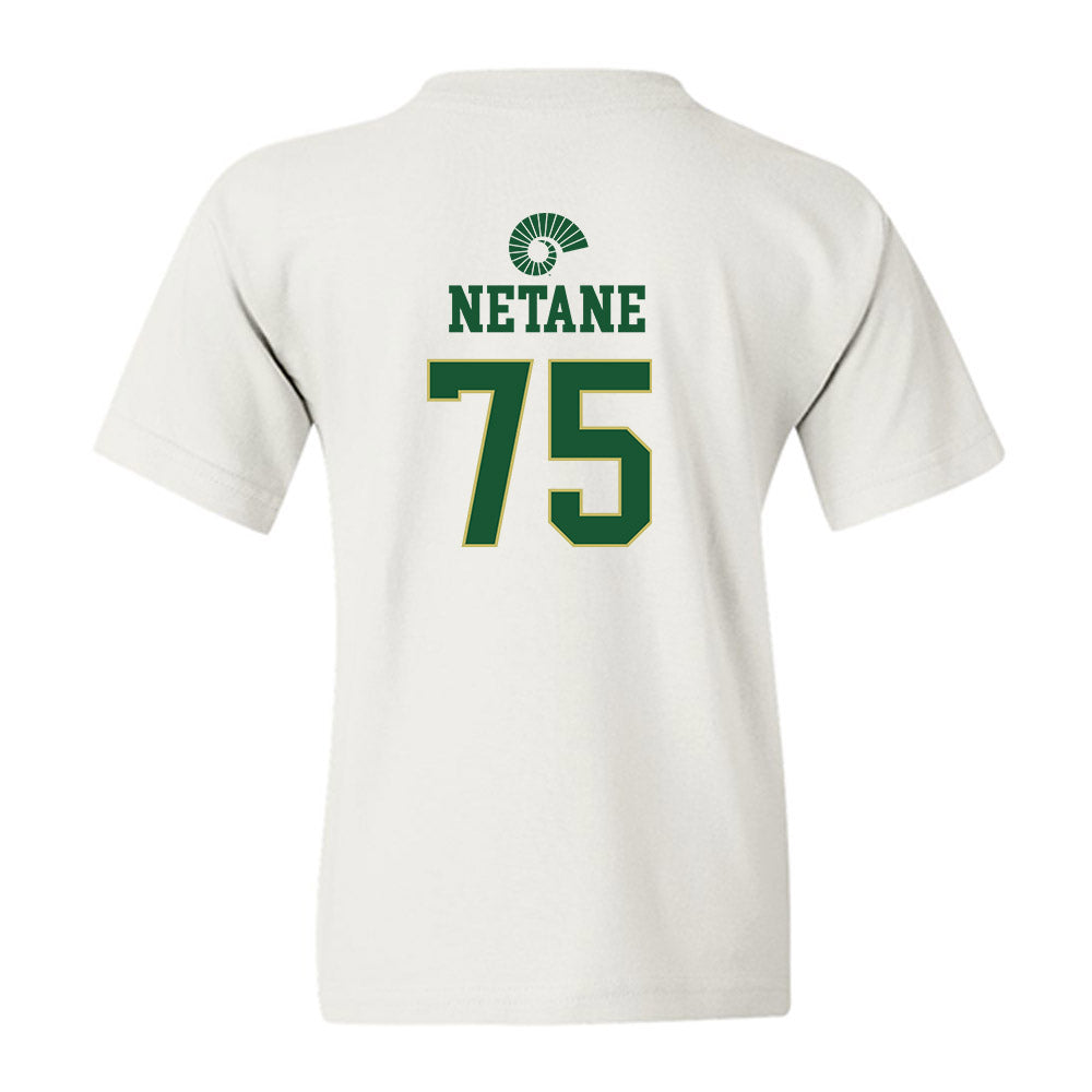 Colorado State - NCAA Football : Sione Netane - Youth T-Shirt-1