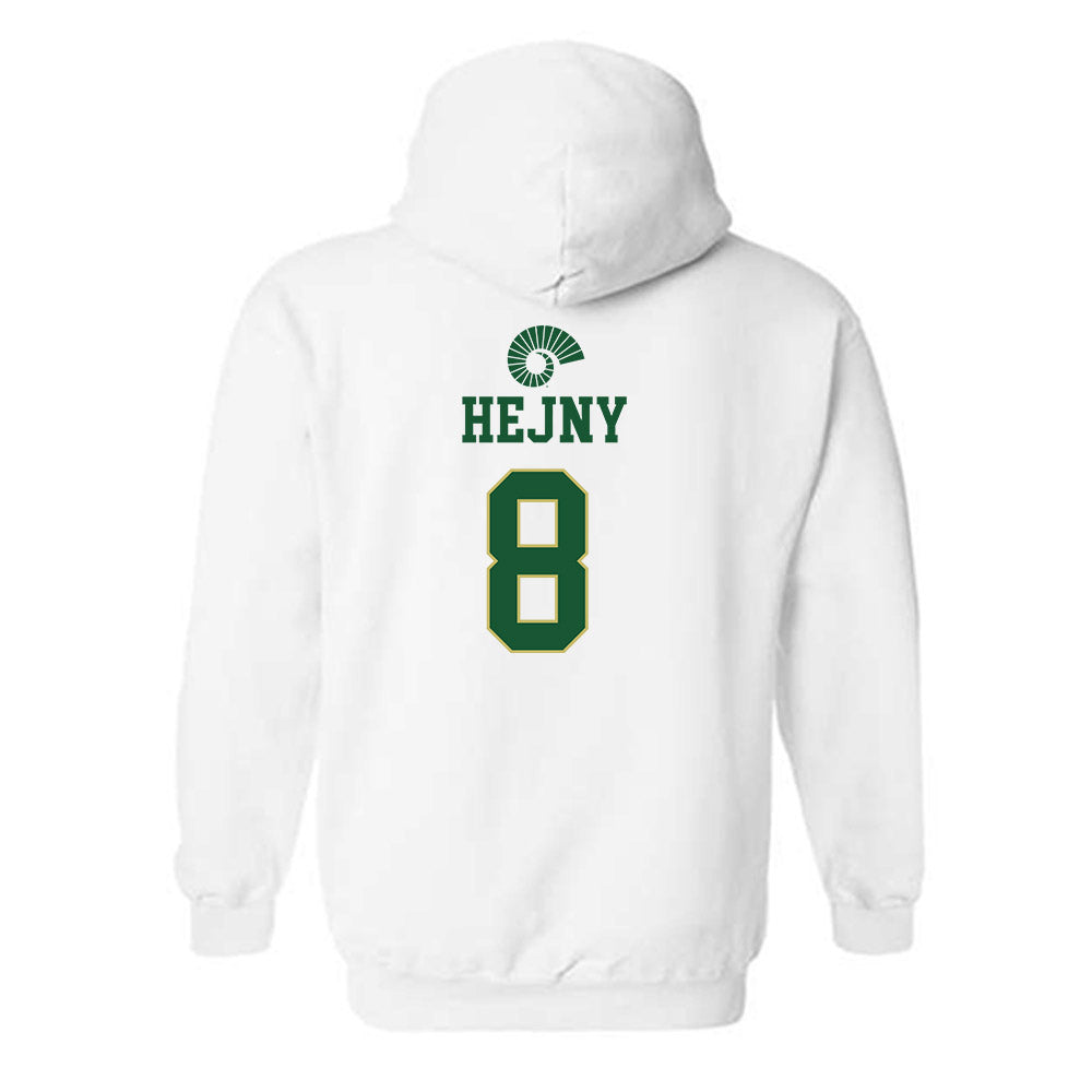 Colorado State - NCAA Football : Hauss Hejny - Hooded Sweatshirt-1