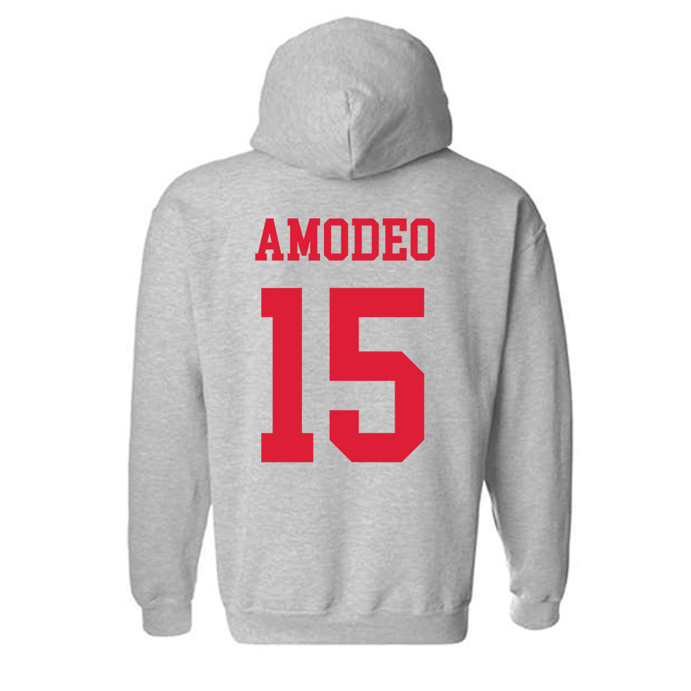 Dayton - NCAA Baseball : Nicolas Amodeo - Classic Shersey Hooded Sweatshirt-1