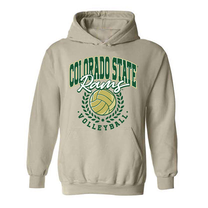 Colorado State - NCAA Women's Volleyball : Sophie Stephenson - Hooded Sweatshirt-0