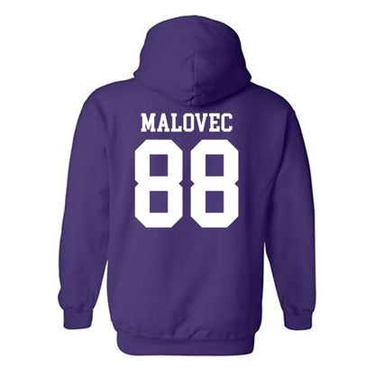 Kansas State - NCAA Men's Basketball : Timotej Malovec - Classic Shersey Hooded Sweatshirt-1