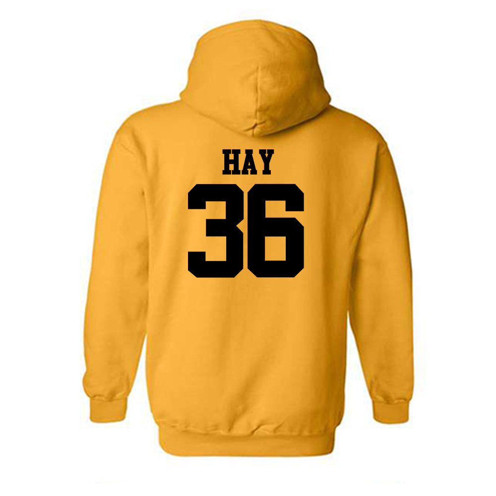 Missouri - NCAA Softball : Abby Hay - Generic Shersey Hooded Sweatshirt-1