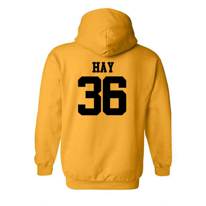 Missouri - NCAA Softball : Abby Hay - Generic Shersey Hooded Sweatshirt-1
