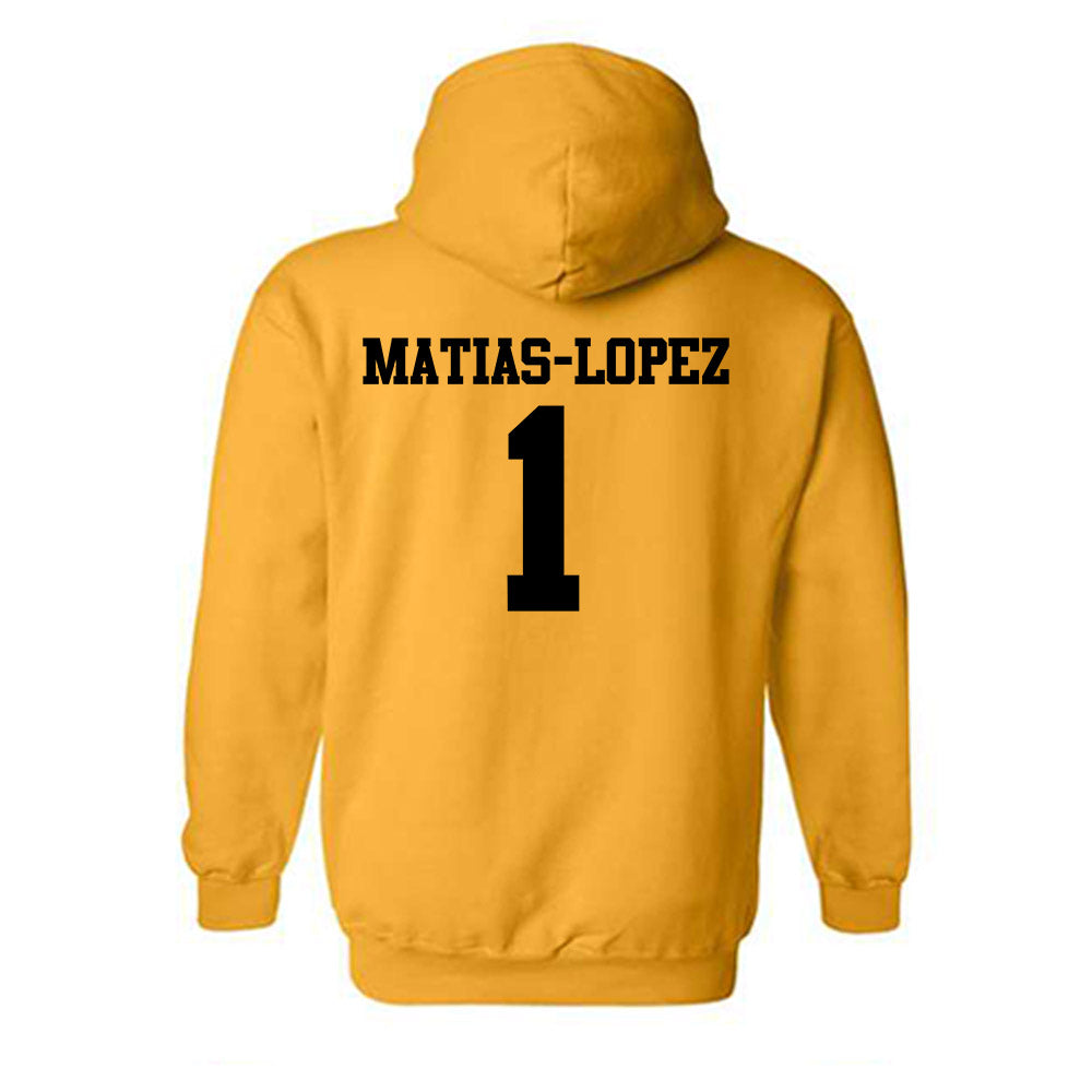 Missouri - NCAA Women's Volleyball : Zoey Matias-Lopez - Generic Shersey Hooded Sweatshirt-1