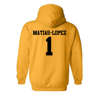 Missouri - NCAA Women's Volleyball : Zoey Matias-Lopez - Generic Shersey Hooded Sweatshirt-1