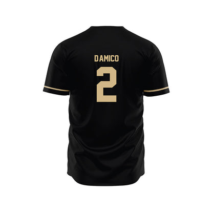 Wake Forest - NCAA Baseball : Logan D'Amico - Black Jersey-1