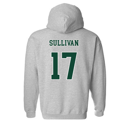 Ohio - NCAA Baseball : Patrick Sullivan - Classic Shersey Hooded Sweatshirt-1