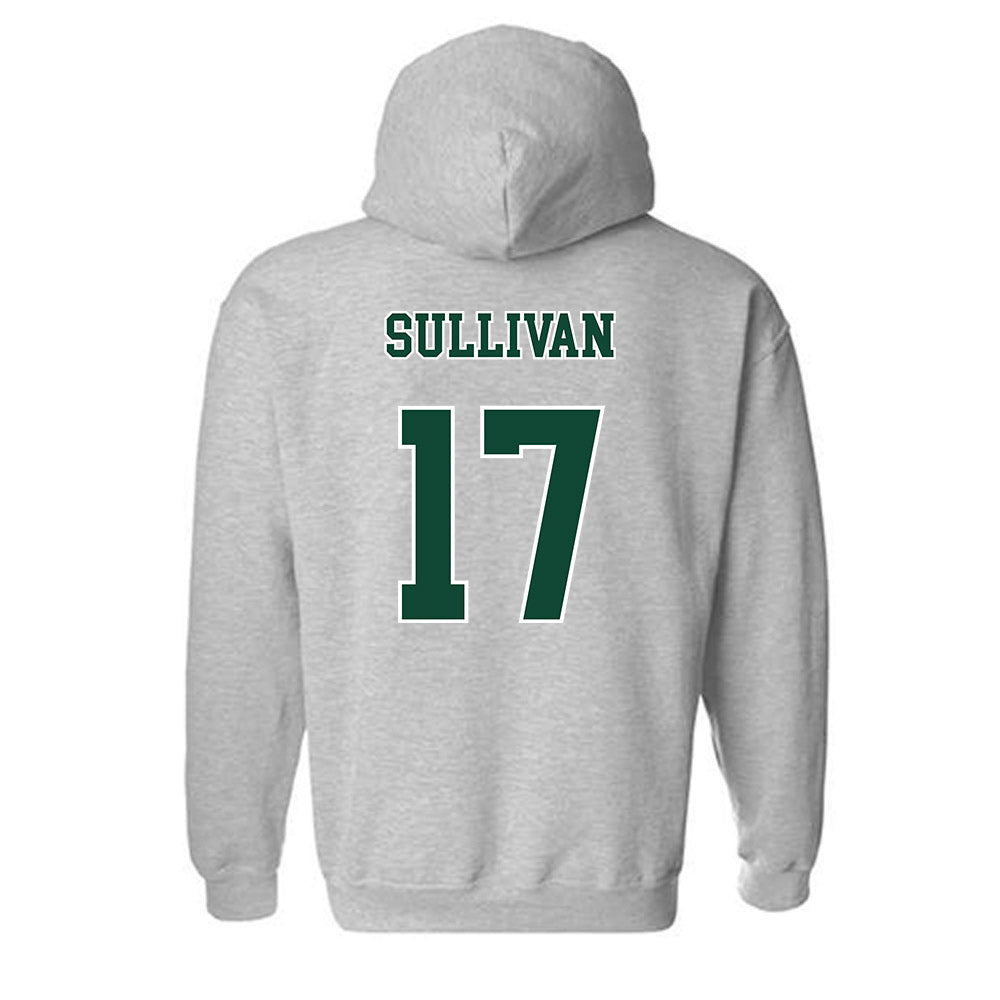 Ohio - NCAA Baseball : Patrick Sullivan - Classic Shersey Hooded Sweatshirt-1