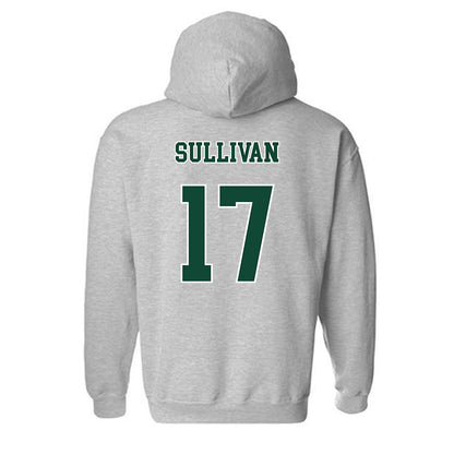 Ohio - NCAA Baseball : Patrick Sullivan - Classic Shersey Hooded Sweatshirt-1