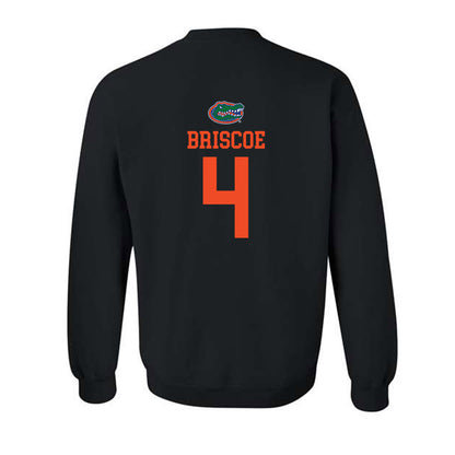 Florida - NCAA Women's Volleyball : Brooklyn Briscoe - Classic Shersey Crewneck Sweatshirt-1