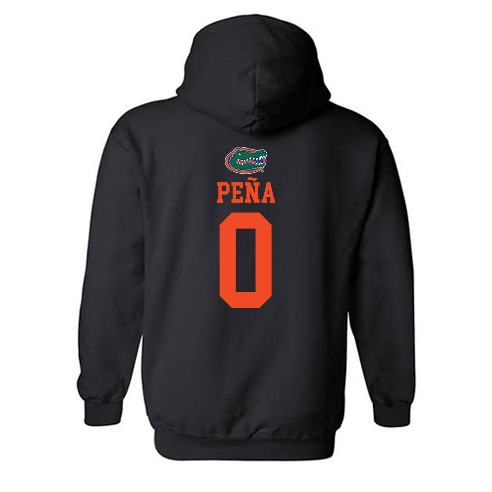 Florida - NCAA Women's Soccer : Paloma Peña - Classic Shersey Hooded Sweatshirt-1
