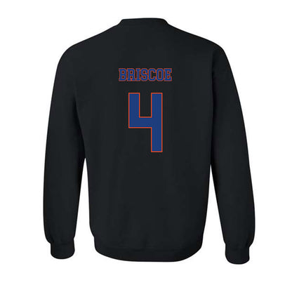 Florida - NCAA Women's Volleyball : Brooklyn Briscoe - Classic Shersey Crewneck Sweatshirt-1