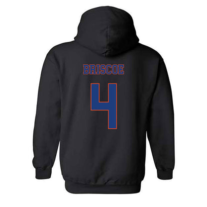 Florida - NCAA Women's Volleyball : Brooklyn Briscoe - Classic Shersey Hooded Sweatshirt-1