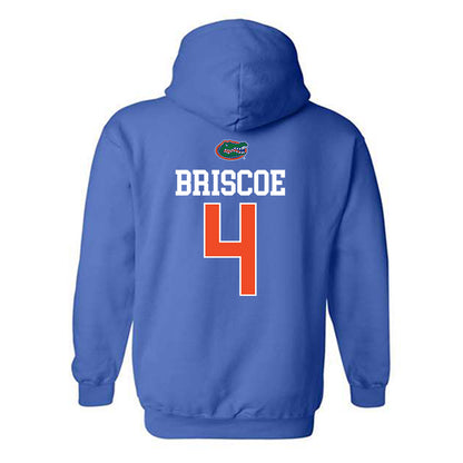 Florida - NCAA Women's Volleyball : Brooklyn Briscoe - Generic Shersey Hooded Sweatshirt-1
