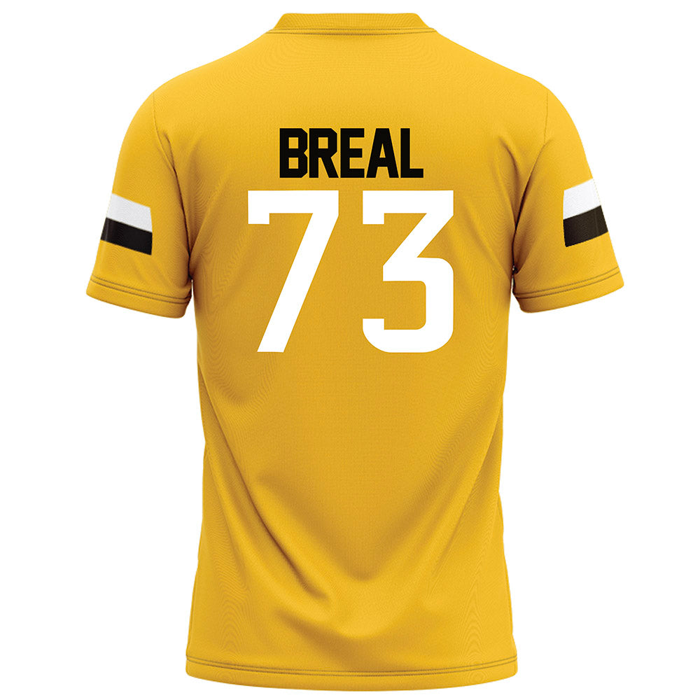 Southern Miss - NCAA Football : Hayden Breal - Gold Football Jersey-1