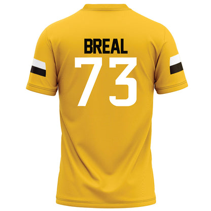 Southern Miss - NCAA Football : Hayden Breal - Gold Football Jersey-1