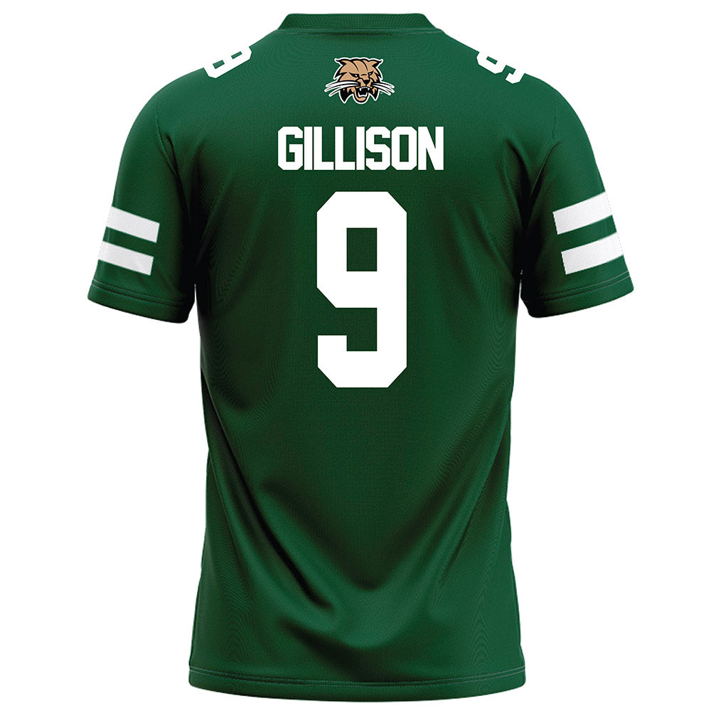 Ohio - NCAA Football : Ty Gillison - Green Football Jersey-1