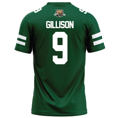 Ohio - NCAA Football : Ty Gillison - Green Football Jersey-1