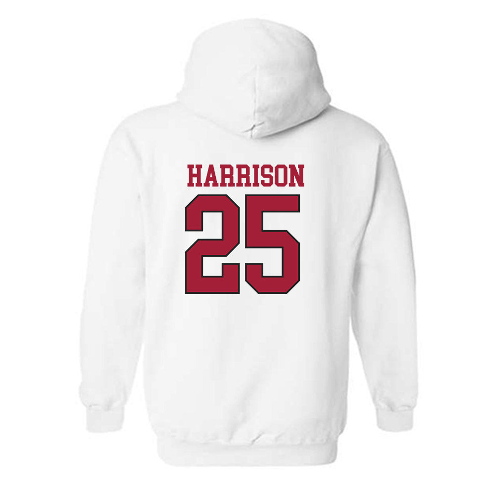 Arkansas - NCAA Softball : Cameryn Harrison - Replica Shersey Hooded Sweatshirt-1