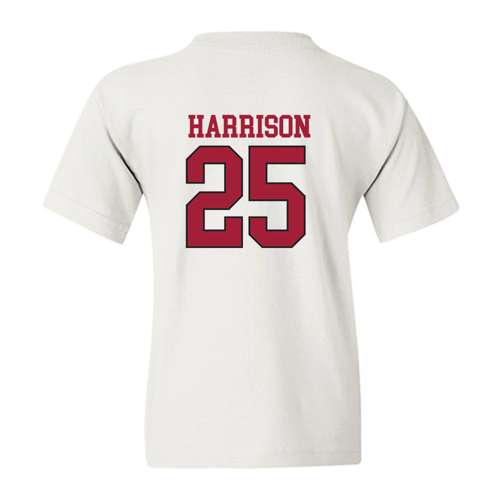 Arkansas - NCAA Softball : Cameryn Harrison - Replica Shersey Youth T-Shirt-1